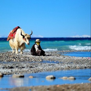 google.ro tumblr_ni0qe2QSbc1tf5mowo1_500